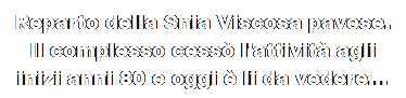 Casella di testo: Reparto della Snia Viscosa pavese.
Il complesso cess l'attivit agli inizi anni 80 e oggi  li da vedere...
